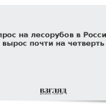 Спрос на лесорубов в России вырос почти на четверть