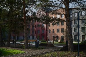 Опрос: Загородная жизнь и природа привлекают половину покупателей ЖК «ФоРест»