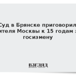 Суд в Брянске приговорил жителя Москвы к 15 годам за госизмену
