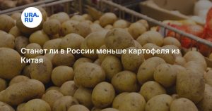 Станет ли в России меньше картофеля из Китая
