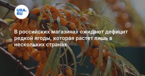 В российских магазинах ожидают дефицит редкой ягоды, которая растет лишь в нескольких странах