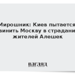 Мирошник: Киев пытается обвинить Москву в страданиях жителей Алешек
