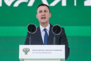 Регионам России выделят допсредства на регулирование популяции медведей