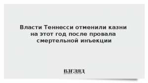 Власти Теннесси отменили казни на этот год после провала смертельной инъекции