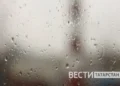 В Татарстане из-за заморозков ввели режим ЧС в 41 муниципалитете