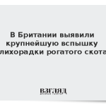 В Британии выявили крупнейшую вспышку лихорадки рогатого скота