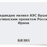 Медведев назвал АЭС Бушер флагманским проектом России и Ирана