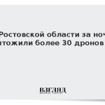 В Ростовской области за ночь уничтожили более 30 дронов ВСУ
