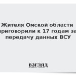 Жителя Омской области приговорили к 17 годам за передачу данных ВСУ