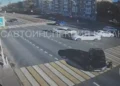 Зоофест в Казани: альпаки, ёжики, собаки‑проводники и шанс обрести друга
