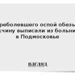 Переболевшего оспой обезьян мужчину выписали из больницы в Подмосковье