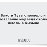 Власти Тувы опровергли появление медведя около школы в Кызыле