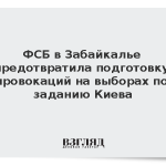 ФСБ в Забайкалье предотвратила подготовку провокаций на выборах по заданию Киева