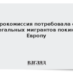 Еврокомиссия потребовала от нелегальных мигрантов покинуть Европу