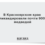 В Красноярском крае ликвидировали почти 900 медведей