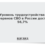 Уровень трудоустройства ветеранов СВО в России достиг 56,7%