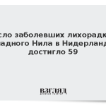 Число заболевших лихорадкой Западного Нила в Нидерландах достигло 59