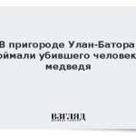 В пригороде Улан-Батора поймали убившего человека медведя