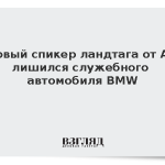 Первый спикер ландтага от АдГ лишился служебного автомобиля BMW