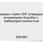 Лидеры стран СНГ утвердили концепцию борьбы с киберпреступностью