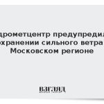 Гидрометцентр предупредил о сохранении сильного ветра в Московском регионе
