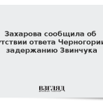 Захарова сообщила об отсутствии ответа Черногории по задержанию Звинчука