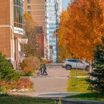 Арктический антициклон принесет в Татарстан холода
