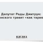 Депутат Рады Дмитрук: Зеленского травят «как таракана»
