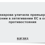Захарова уличила премьера Эстонии в затягивании ЕС в «омут противостояния»