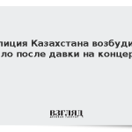Полиция Казахстана возбудила дело после давки на концерте