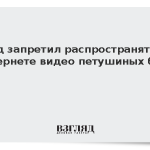 Суд запретил распространять в интернете видео петушиных боев