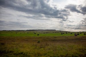В Мамадышском районе у семьи Абдуллиных суд изъял 2,3 тысячи гектаров земли