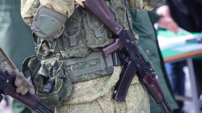 Российские военные спасли котенка, выжившего после двух ударов БПЛА в зоне СВО 06/07/2026 – Новости