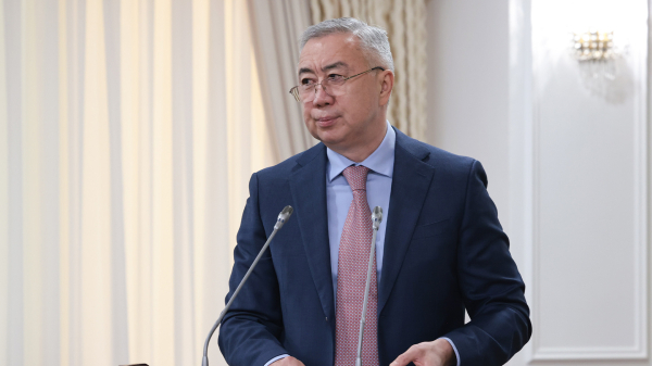Казахстан внедряет Национальную цифровую инвестиционную платформу